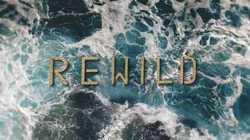Free download REWILD: Oceans | Official Trailer [HD] - PHORIA, Google  Apple video and edit with RedcoolMedia movie maker MovieStudio video editor online and AudioStudio audio editor onlin